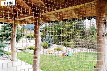 Siatki Kętrzyn - Mocna siatka z dużym oczkiem na altankę ogrodową dla terenów Kętrzyna